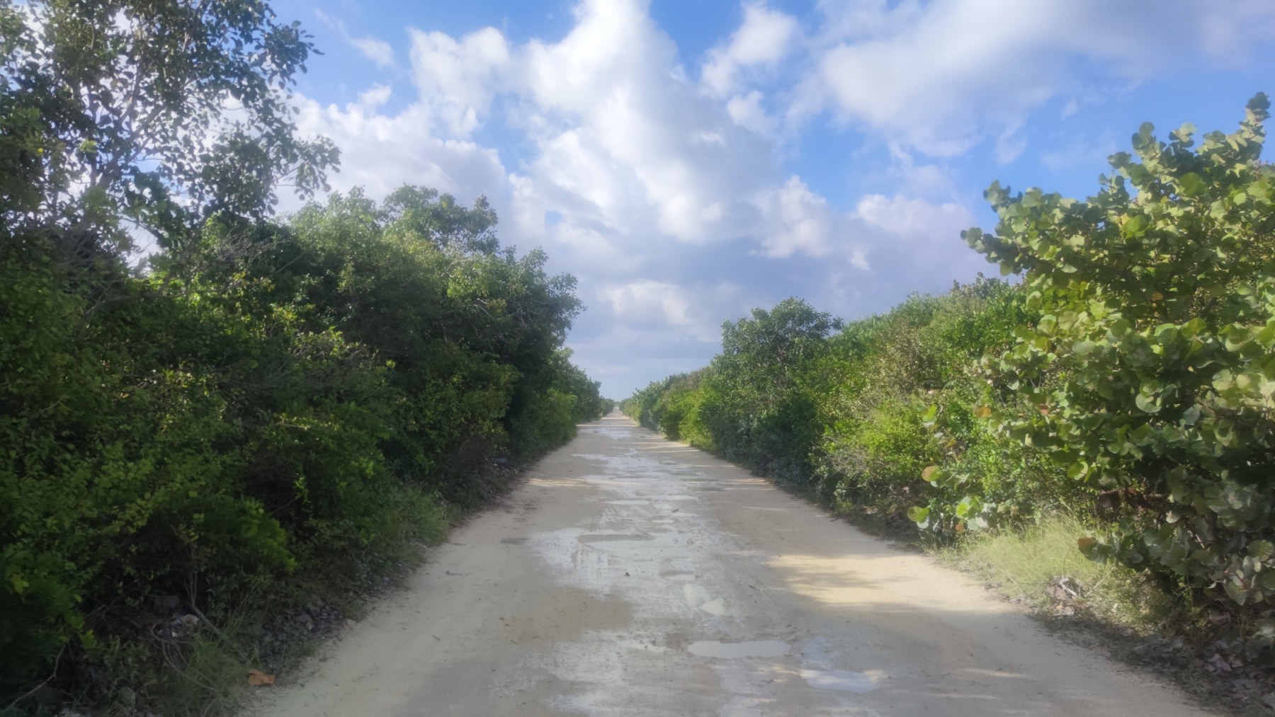 Route sauvage du Golfe du Mexique