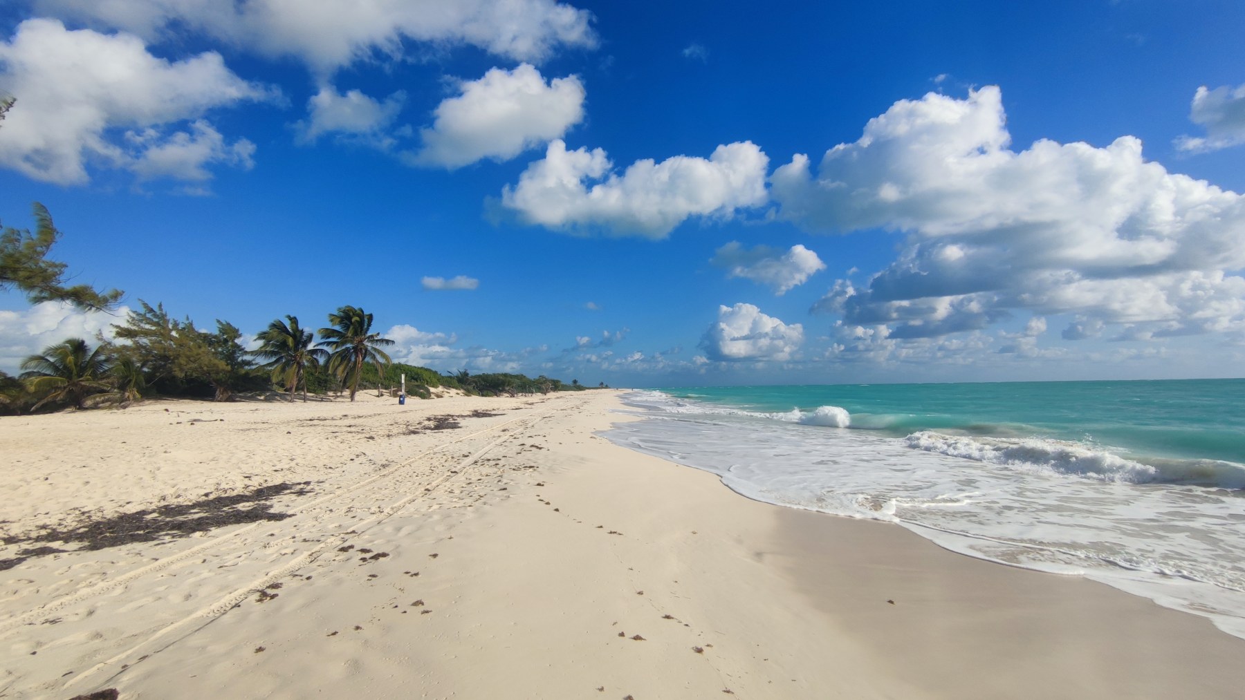 Plage sauvage du Golfe du Mexique