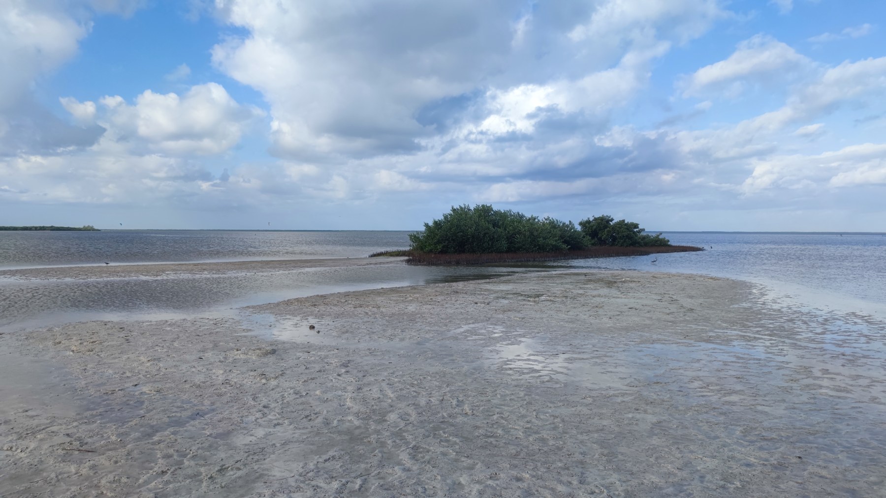 Île sauvage au Golfe du Mexique