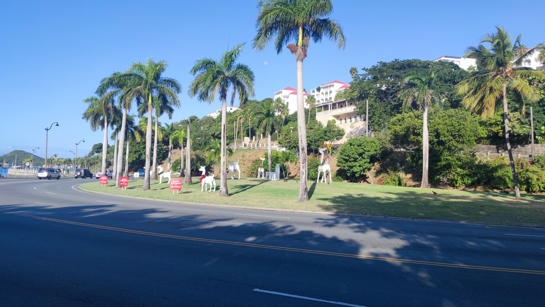 Saint-Martin - Palmes et décor de Noël à Philipsburg