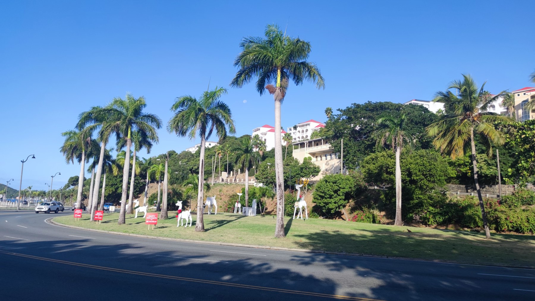 Palmes et décor de Noël à Saint-Martin