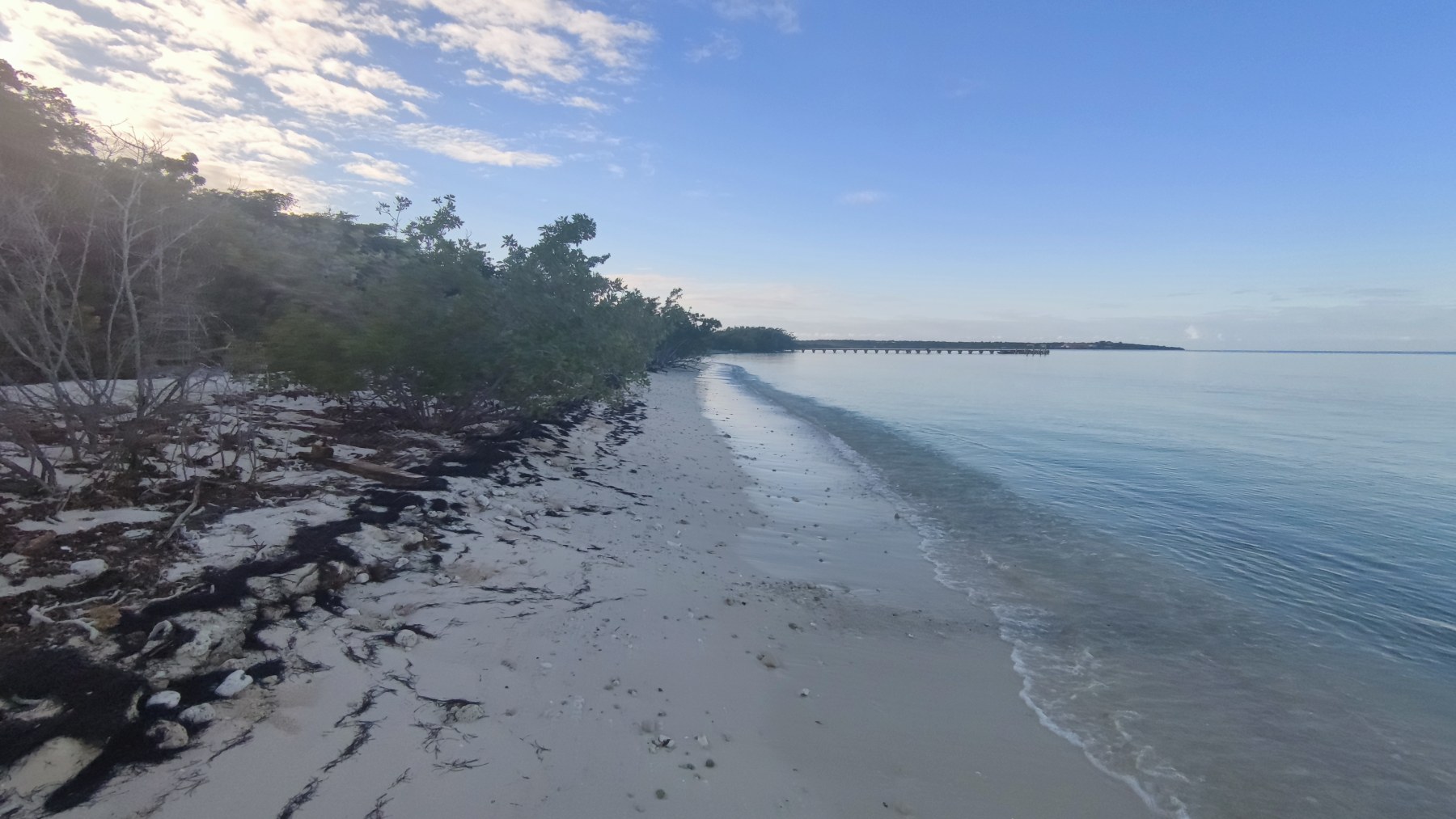 Mer des Caraïbes - Plage sauvage de Pedernales