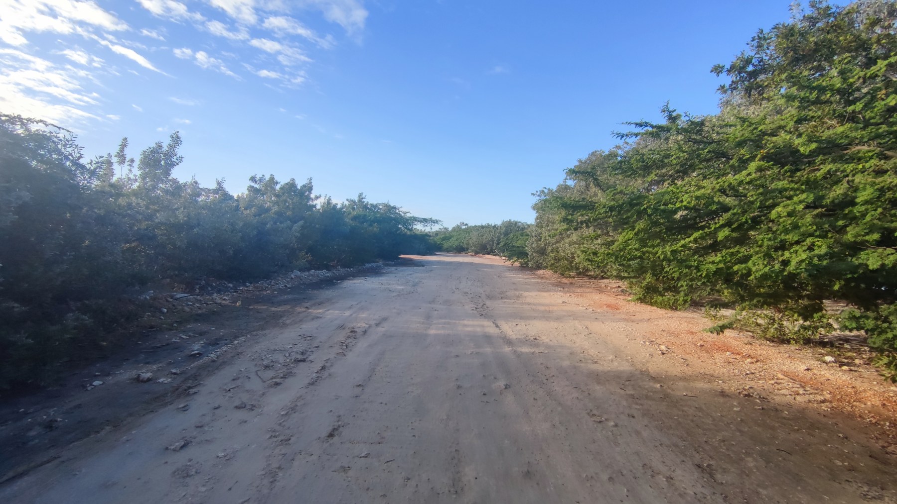 Golfe du Mexique, Floride - Route de campagne à Pedernales