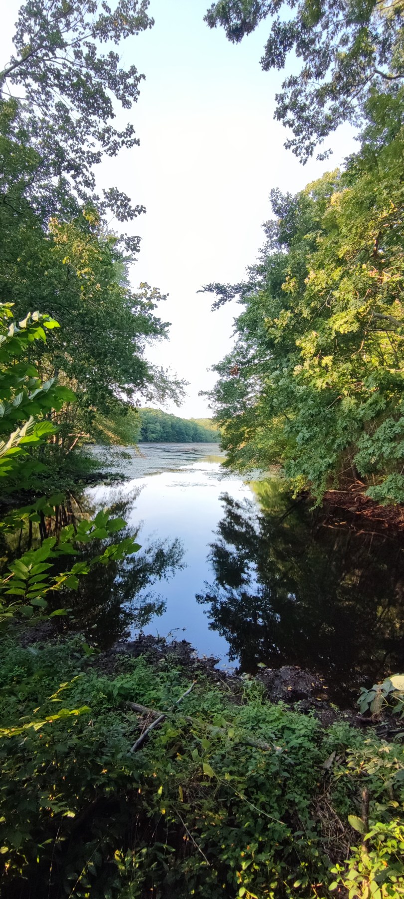 Canal paisible au cœur du parc
