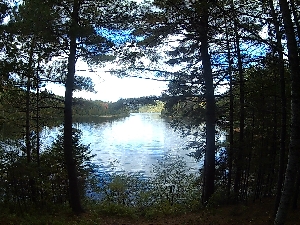 Photo #150