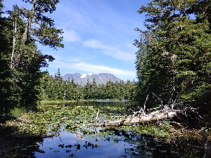 Lac Bear Creek, Montagnes Alaskaines