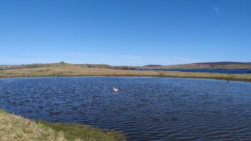 Lac d'Eilean Mor, Écosse Lac d'Eilean Mor, Écosse
