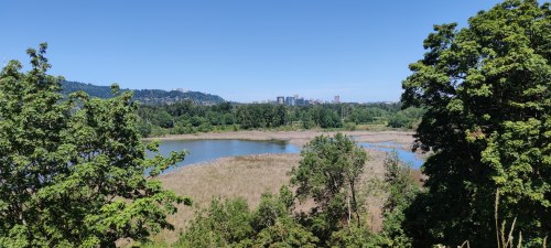 Southeast Sellwood Boulevard, Portland