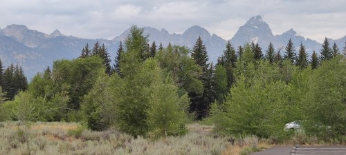 Teton Park Road, Moose Teton Park Road, Moose