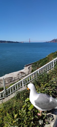 Vue du Golden Gate Bridge depuis Lands End, San Francisco Vue du Golden Gate Bridge depuis Lands End, San Francisco