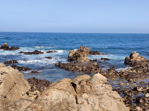 Rochers de Big Sur, Californie Rochers de Big Sur, Californie