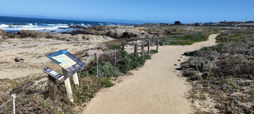 Sentier côtier Ocean View Boulevard, Pacific Grove Sentier côtier Ocean View Boulevard, Pacific Grove