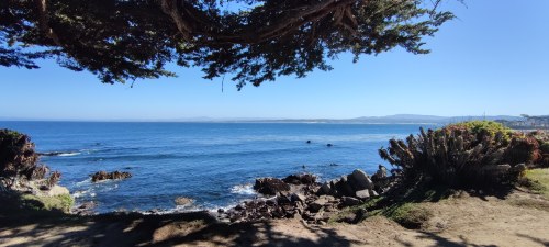 Point Lobos, Californie Point Lobos, Californie