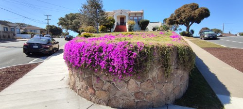 Eardley Avenue, Pacific Grove Eardley Avenue, Pacific Grove