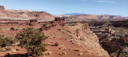 Vue du canyon de Moab, Utah Vue du canyon de Moab, Utah