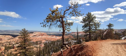 Vue panoramique de Bryce Canyon Vue panoramique de Bryce Canyon