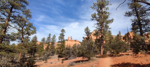 Chutes de l'Arbre, Bryce Canyon National Park, Utah Chutes de l'Arbre, Bryce Canyon National Park, Utah