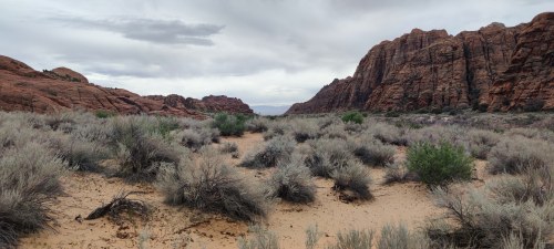 Désert roux de l'Utah - Vue panoramique Désert roux de l'Utah - Vue panoramique
