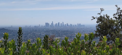 Vue de Los Angeles depuis Griffith Park Vue de Los Angeles depuis Griffith Park