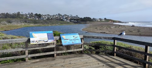 Santa Rosa Creek, Monterey Bay Santa Rosa Creek, Monterey Bay