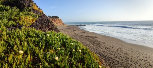 Plage sauvage de Big Sur, Californie Plage sauvage de Big Sur, Californie