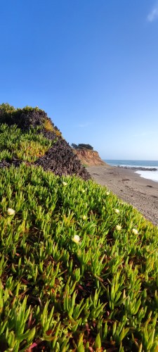Plage de Big Sur, Californie Plage de Big Sur, Californie