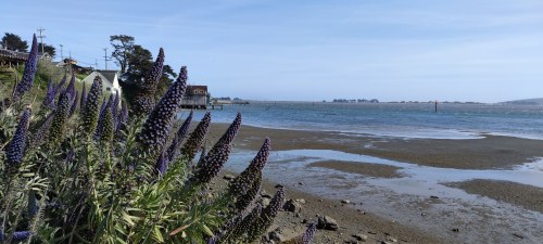 Plage de Bodega Bay, Californie Plage de Bodega Bay, Californie