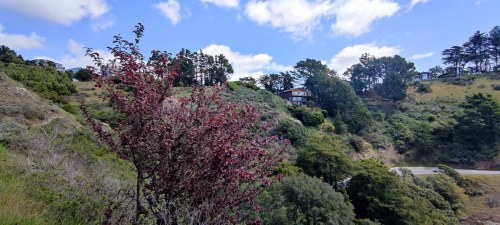 Collines de San Francisco, Californie Collines de San Francisco, Californie