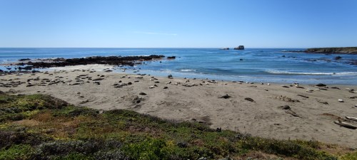 Elephant Seal Vista Point, Californie Elephant Seal Vista Point, Californie