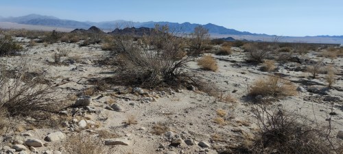 Désert de Mojave, Californie Désert de Mojave, Californie