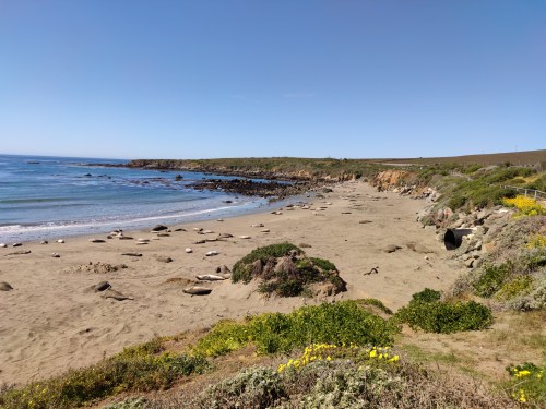 Elephant Seal Vista Point, Californie Elephant Seal Vista Point, Californie