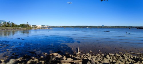 Aéroport de Washington-Dulles, vue depuis le rivage Aéroport de Washington-Dulles, vue depuis le rivage