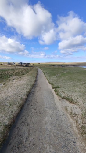 Sentier vers Stromness, Orcades Sentier vers Stromness, Orcades