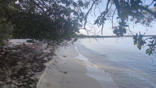 Pedernales, République dominicaine / Golfe du Mexique, Floride / Cozumel, Mexiq... - Plag...