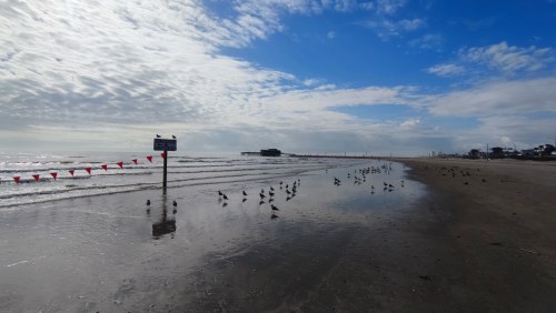 Plage de Galveston, Texas