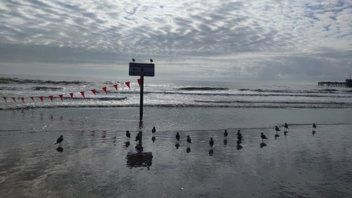 Plage de Galveston, Texas