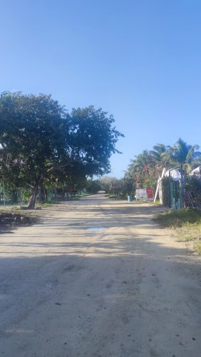 Route de campagne au Golfe du Mexique