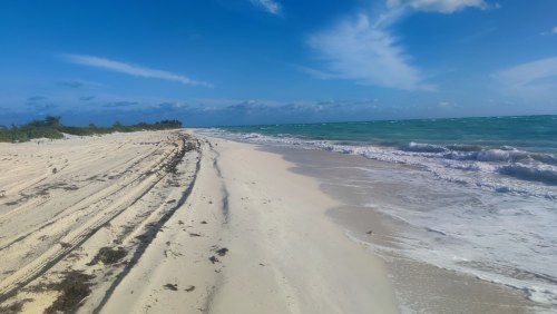 Plage sauvage du Golfe du Mexique Plage sauvage du Golfe du Mexique