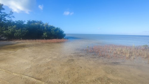 Plage sauvage au bord du Golfe