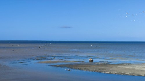 Plage du Golfe du Mexique
