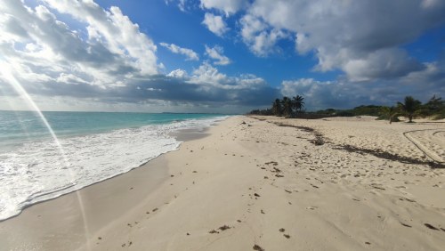Plage sauvage du Golfe du Mexique