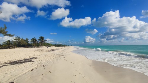 Plage sauvage du Golfe du Mexique