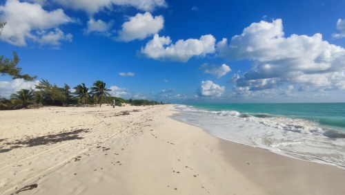 Plage sauvage du Golfe du Mexique