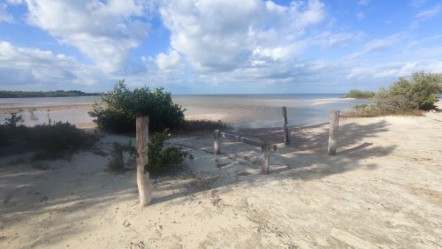 Plage sauvage du Golfe du Mexique