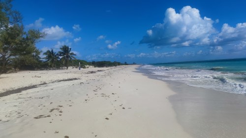 Plage sauvage du Golfe du Mexique Plage sauvage du Golfe du Mexique