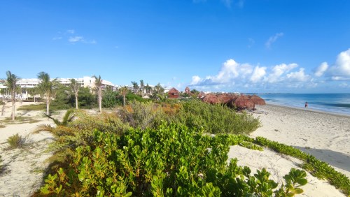 Plage paradisiaque du Golfe du Mexique
