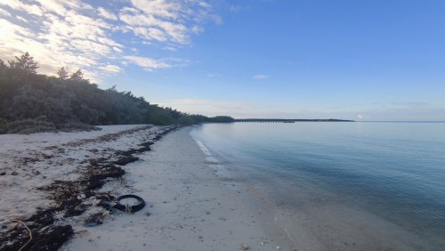 Plage sauvage du Golfe du Mexique