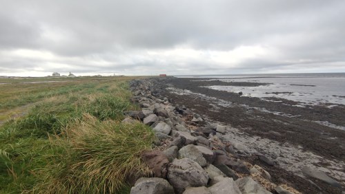 Côte sauvage d'Islande Côte sauvage d'Islande