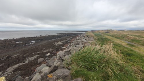 Côte sauvage islandaise