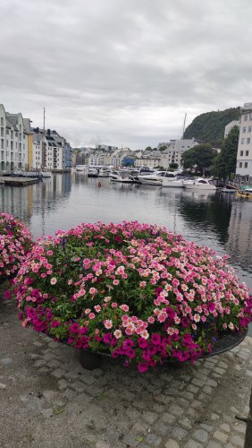 Port de Bergen, fleurs et voiles Port de Bergen, fleurs et voiles